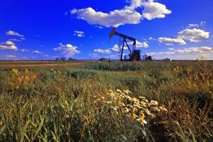 Images Dated 3rd February 2004: Pumpjack In A Field, Alberta, Canada