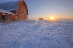 Red Barn On Very Cold Winter Morning At Sunrise, Alberta Red Barn On Very Cold Winter Morning At Sunrise, Alberta
