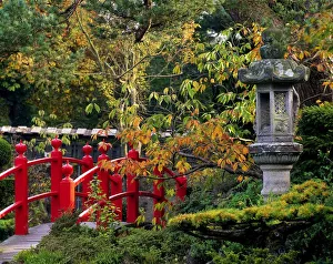 Red Bridge & Japanese Lantern, Autumn, Japanese Gardens, Co Kildare, Ireland Red Bridge & Japanese Lantern, Autumn, Japanese Gardens, Co Kildare, Ireland