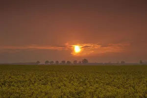 The Red Glow Of A Sunset Over A Field; Northumberland, England The Red Glow Of A Sunset Over A Field; Northumberland, England