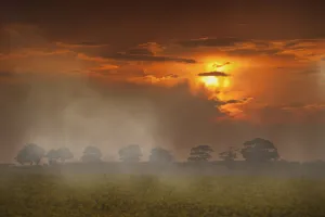The Red Glow Of A Sunset And Fog Over A Field; Northumberland, England The Red Glow Of A Sunset And Fog Over A Field; Northumberland, England
