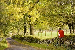Red Postal Box by Country Lane, Cumbria, Lake District, England