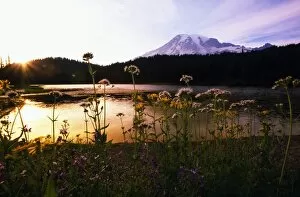 Images Dated 22nd August 2006: Reflection Lake With Mt. Hood In The Distance, Washington, United States Of America