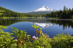 Reflection Of Mount Hood In Trillium Lake In The Oregon Cascades; Oregon, United States Of America Reflection Of Mount Hood In Trillium Lake In The Oregon Cascades; Oregon, United States Of America