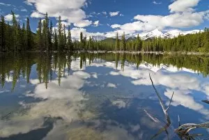 Images Dated 30th May 2008: Reflection In Water, Kananaskis, Alberta