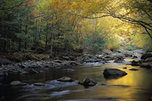 River Flowing Over Rocks, Greenbrier Area, Great Smoky Mountains National Park, Tennessee River Flowing Over Rocks, Greenbrier Area, Great Smoky Mountains National Park, Tennessee