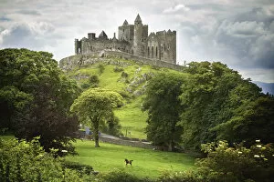 Images Dated 10th July 2011: Rock Of Cashel; Cashel County Tipperary Ireland