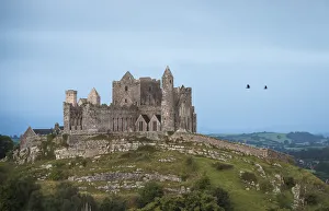 Rock of Cashel on the hilltop with birds flying against the cloudy sky, County Tipperary, Ireland Rock of Cashel on the hilltop with birds flying against the cloudy sky, County Tipperary, Ireland