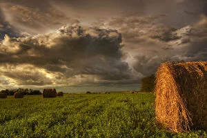 Images Dated 4th August 2007: Rolled Hay Bales Under Storm Clouds On A Farm North Of Edmonton, Alberta
