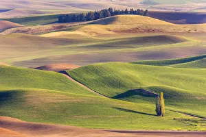 Rolling hills of farmland in Eastern Washington, USA Rolling hills of farmland in Eastern Washington, USA