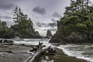 Rugged coastline of Brady's Beach in Bamfield on Vancouver Island; Bamfield, British Columbia, Canada Rugged coastline of Brady's Beach in Bamfield on Vancouver Island; Bamfield, British Columbia, Canada