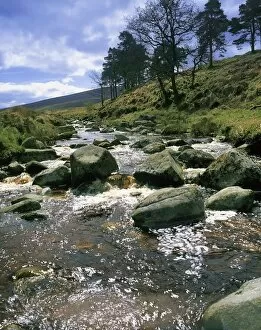 Images Dated 10th May 2007: Sally Gap, River Liffey, Co Wicklow, Ireland