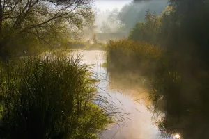 Scanlon Creek Conservation Area, Bradford, Ontario Scanlon Creek Conservation Area, Bradford, Ontario