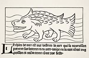 Images Dated 18th September 2007: The Sea-Dog After A Wood Engraving In Dyalogue Des Creatures Published 1482