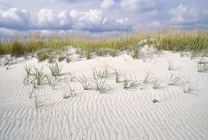 Seaside Adjunct, Kejimkujik National Park, Nova Scotia, Canada Seaside Adjunct, Kejimkujik National Park, Nova Scotia, Canada