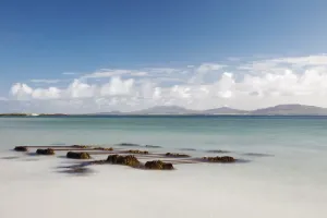 Seaweed On The Shore On Eilogarry Beach; Isle Of Barra, Scotland Seaweed On The Shore On Eilogarry Beach; Isle Of Barra, Scotland
