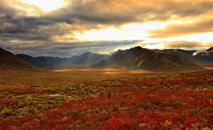 Images Dated 23rd August 2009: Shaft Of Sunlight Hitting The Fall Colours Of The Dempster Highway, Yukon