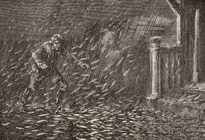 A Shower Of Fish In Transylvania, Romania. From The Book Chips From The Earth's Crust Published 1894 A Shower Of Fish In Transylvania, Romania. From The Book Chips From The Earth's Crust Published 1894