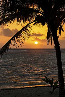Silhouette Of A Coconut Tree Along The Shoreline With An Orange Sun And Clouds In The Sky At Sunrise; Akumal Silhouette Of A Coconut Tree Along The Shoreline With An Orange Sun And Clouds In The Sky At Sunrise; Akumal
