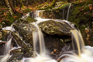 Small Waterfall In The Woods In Autumn; Bedford, Nova Scotia, Canada Small Waterfall In The Woods In Autumn; Bedford, Nova Scotia, Canada