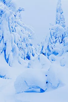 Snow-Covered To Vallee Des Fantomes, Monts-Valin National Park, Quebec, Canada Snow-Covered To Vallee Des Fantomes, Monts-Valin National Park, Quebec, Canada