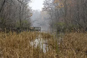 Snow falling gently over a pond in autumn in Ontario; London, Ontario, Canada