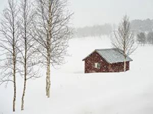 Snow Falling Over A Rural Landscape And A Small Red Building; Arjeplog, Norrbotten County Snow Falling Over A Rural Landscape And A Small Red Building; Arjeplog, Norrbotten County