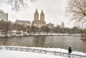Snowfall by the lake in Central Park, New York City, New York, USA Snowfall by the lake in Central Park, New York City, New York, USA