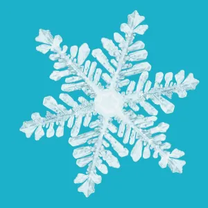 Images Dated 31st January 2004: Snowflake