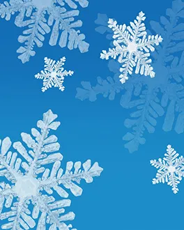 Images Dated 31st January 2004: Snowflakes