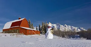 Cowboy Hats Gallery: Snowman Dressed Up As A Cowboy Standing In Front Of A Vintage Red Barn, Palmer