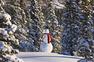 Snowman Wearing A Red Scarf And Black Top Hat Standing In Front Of A Snowcovered Spruce Forest; Anchorage Alaska Usa