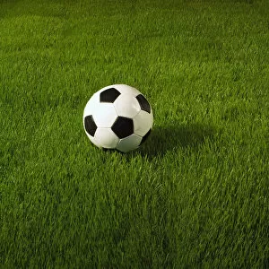 Images Dated 6th October 2005: Soccer Ball On Grass