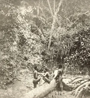 Stereoview card from circa 1900 for viewing through a stereoscope. A group of Andamanese in their native jungle in Stereoview card from circa 1900 for viewing through a stereoscope. A group of Andamanese in their native jungle in