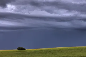 Storm Clouds Over Pasture On Summer Evening, Central Alberta Storm Clouds Over Pasture On Summer Evening, Central Alberta