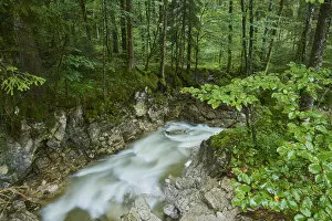 Nature and Landscapes Gallery: Stream in Berchtesgaden National Park, Berchtesgadener Land, Ramsau, Bavaria, Germany