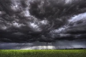 Summer Storm Clouds Over An Unripened Canola Field North Of Edmonton, Alberta Summer Storm Clouds Over An Unripened Canola Field North Of Edmonton, Alberta
