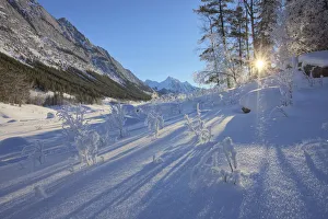 Sunlight Breaking Through Trees On Snow-Covered Medicine Lake, Jasper National Park, Alberta Sunlight Breaking Through Trees On Snow-Covered Medicine Lake, Jasper National Park, Alberta