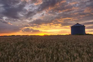 Sunrise Over A Barley Field And Grain Silo On A Farm In Central Alberta Sunrise Over A Barley Field And Grain Silo On A Farm In Central Alberta