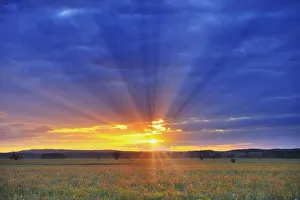 Sunrise over Meadow, Altmuhlsee, Gunzenhausen, Franconia, Bavaria, Germany Sunrise over Meadow, Altmuhlsee, Gunzenhausen, Franconia, Bavaria, Germany