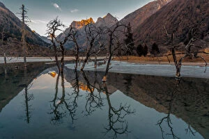 Sunset with trees reflected in a high altitude lake on the Tibetan Plateau, Rilong, Sichuan Province