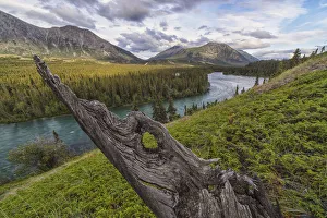 The Takhini River Flows Through A Valley Near Kusawa Lake, With An Old Tree Stump Jutting From The Hillside Near Sunset The Takhini River Flows Through A Valley Near Kusawa Lake, With An Old Tree Stump Jutting From The Hillside Near Sunset