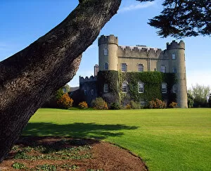 Medieval Period Collection: Talbot Botanic Gardens, Malahide Castle, Co Dublin, Ireland