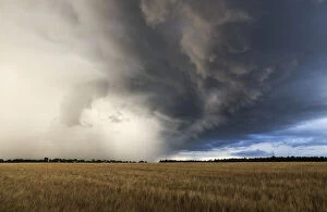 Nature and Landscapes Gallery: Thundercloud forming over wheat field