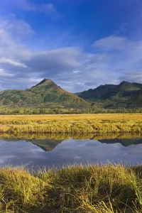 Tidal Slough And Mountain Scenic Along Womens Bay, Early Morning, Kodiak Island, Alaska, Usa Tidal Slough And Mountain Scenic Along Womens Bay, Early Morning, Kodiak Island, Alaska, Usa