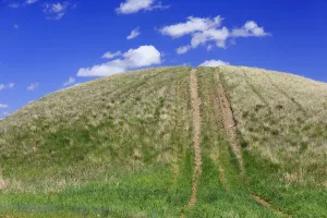 Tire Tracks On A Grassy Hill; Cypress Hills, Saskatchewan, Canada Tire Tracks On A Grassy Hill; Cypress Hills, Saskatchewan, Canada