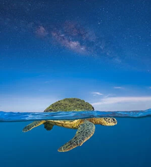 Turtle Island is the name for the lands now known as North and Central America