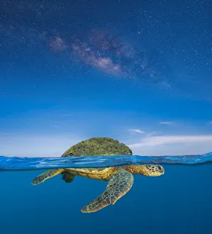 Turtle Island is the name for the lands now known as North and Central America Turtle Island is the name for the lands now known as North and Central America