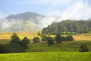 USA, Hawaii Islands, Rolling Green Hills; Maui, Upcountry Scenic Near Ulupalakua USA, Hawaii Islands, Rolling Green Hills; Maui, Upcountry Scenic Near Ulupalakua