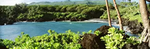 Images Dated 23rd June 1998: USA, Hawaii, Maui, Waianapanapa State Park; Hana, Black Sand Beach And Lush Greenery